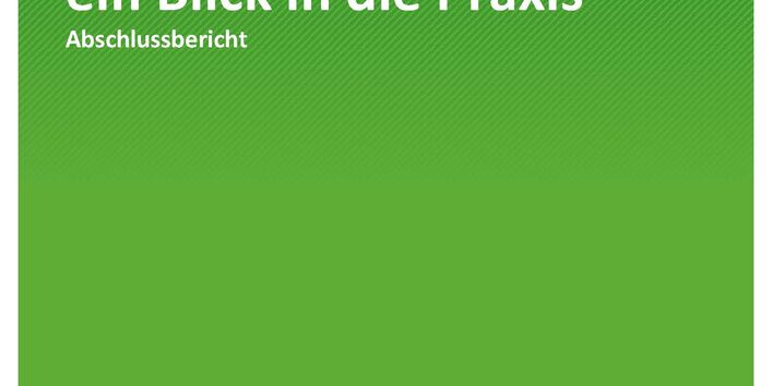 Titelseite der Publikation TEXTE 88/2021 Renaturierung von Fließgewässern: ein Blick in die Praxis  