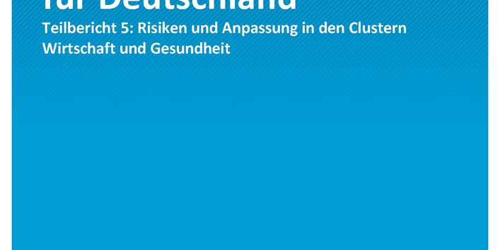 Titelseite der Publikation Climate Change 24/2021 Klimawirkungs- und Risikoanalyse für Deutschland 2021: Klimarisiken in den Clustern Wirtschaft und Gesundheit