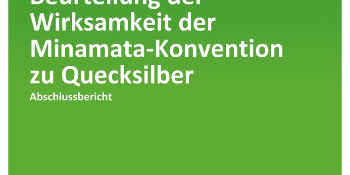 Cover TEXTE-Band 110/2021