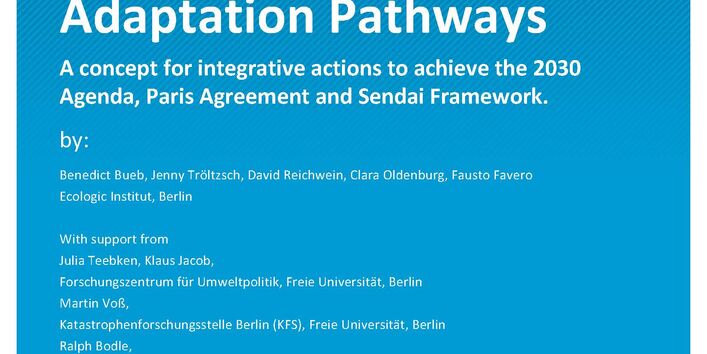 Cover of publication Climate Change 48/2021 Towards Sustainable Adaptation Pathways: A concept for integrative actions to achieve the 2030 Agenda