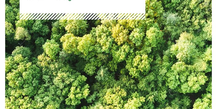 Titelseite der Fachbroschüre "STICKSTOFF: ZU VIEL DES GUTEN! Beteiligung von Bürger*innen auf dem Weg zu einer nationalen Stickstoffminderung"