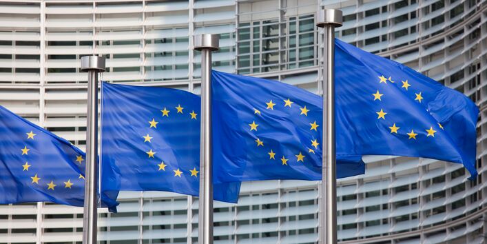 Europaflaggen wehen im Wind vor einem Regierungsgebäude