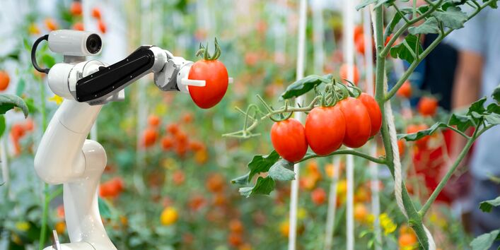 Das Bild zeigt einen Roboterarm, der eine Tomatenfrucht in der mechanischen Greifhand hält.  