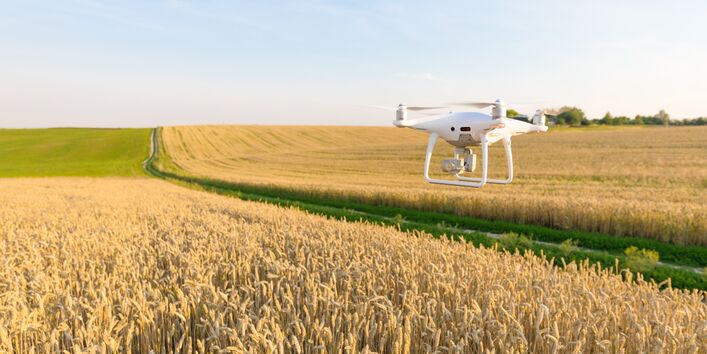 Eine Drohne fliegt über einem Getreidefeld und erfasst Daten für die Landbewirtschaftung.