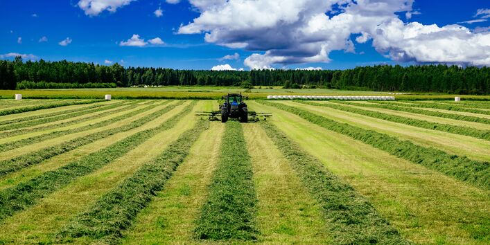 Ein Traktor erntet Heu