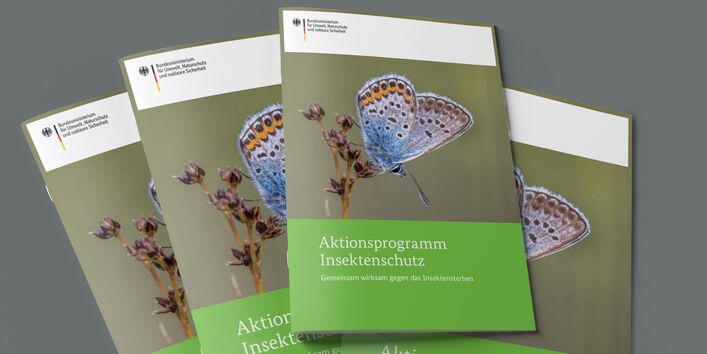 Das Bild zeigt einen Stapel Broschüren mit dem Titel "Aktionsprogramm Insektenschutz"