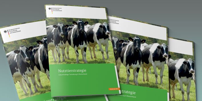Das Bild zeigt einen Stapel Broschüren mit dem Titel "Nutztierstrategie".