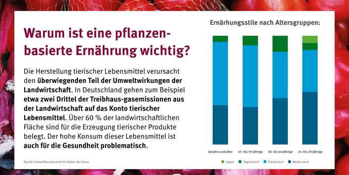 Ein Säulendiagramm mit Angaben über die verschiedenen Ernährungsstile nach Altersgruppen. Vegan, vegetarisch, flexitarisch oder weder noch stehen zur Auswahl.