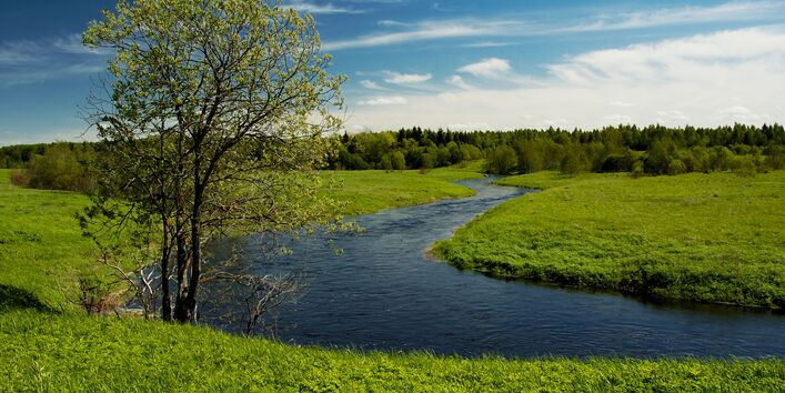 Landschaft mit einem Baum und einen kleinen Fluss. 