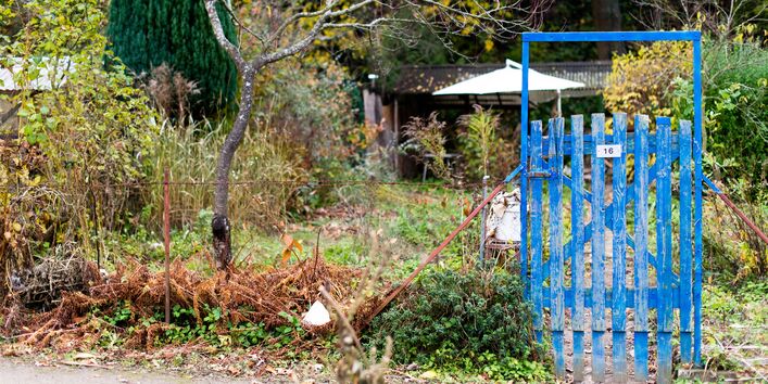 Ein Bild zeigt ein Gartentor vor einer wild bewachsenen Wiese bzw. einem Kleingarten. 