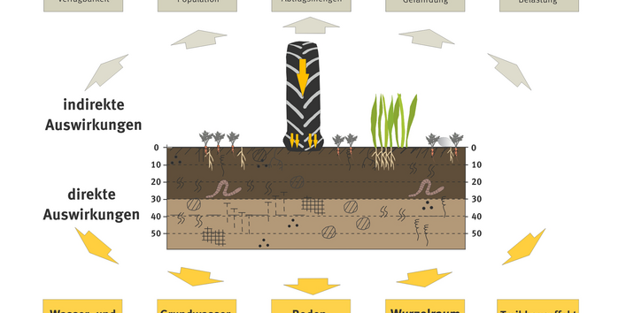 Schaubild zu den Wirkungen der Bodenverdichtung