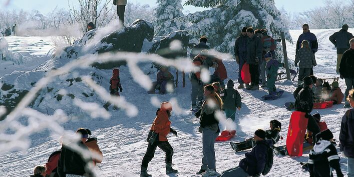 Eine Gruppe von diversen Menschen unterschiedlichen Alters stehen auf einem Schneeberg oder fahren Schlitten