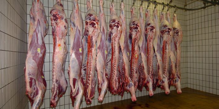 Rinderhälften hängen an Haken in einem Schlachthaus