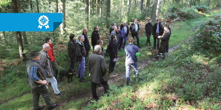 Gruppe von Personen befindet sich auf Exkursion im Wald auf einem Wirtschaftsweg an einer Böschung. Die Sonne scheint durch die jungen, schlanken hohen Bäume