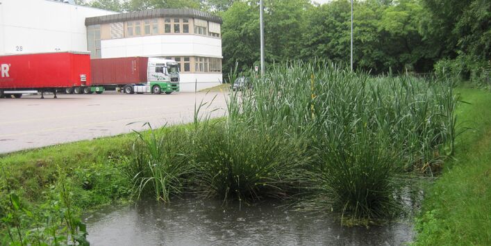 Regenweiher vor Parkplatz