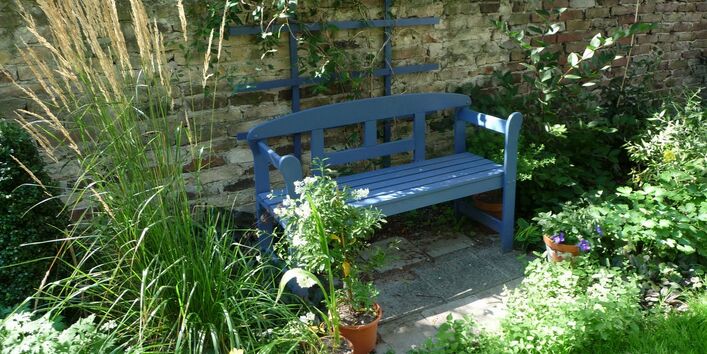 Von Pflanzen umringte Holzbank, dahinter eine Mauer