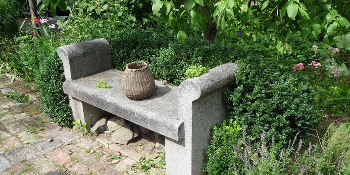 Von Pflanzen umringte Steinbank