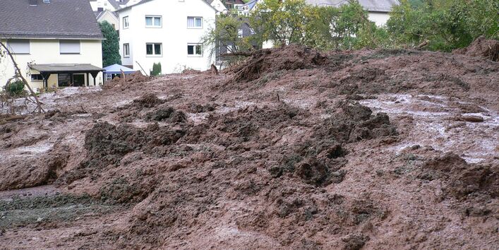 Vor Wohnhäusern sind Schlammmassen zu sehen, die junge Bäume mitgerissen haben.