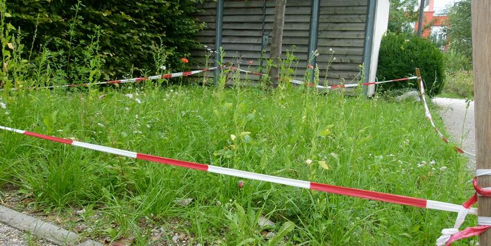 Rot weisses Band versperrt Zugang zur frisch gesäten Wiese