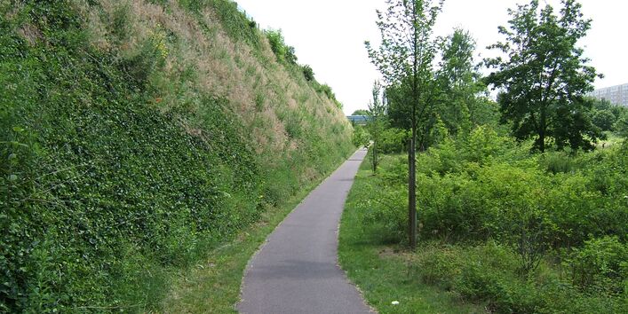 Ein schmaler Teerweg verläuft rechts an einer Böschung, kleine Bäume und Büsche säumen den Weg