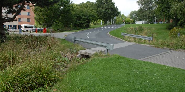 Unter einer Straßenkurve tritt eine Öffnung hervor, die ins Grüne führt als Durchtritt für Wasser. Im Hintergrund stehen Bäume und ein paar Häuser.