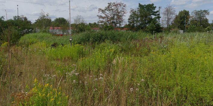 Der Blick geht über die Bewässerungsanlage hinweg ins Grüne vor bewölktem Himmel.