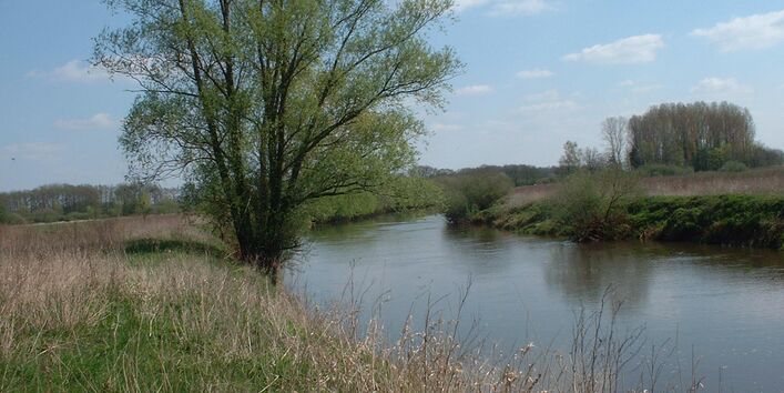Gewässer in offener Landschaft mit Baum im Vordergrund