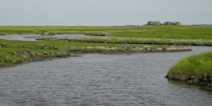 Priel und Salzwiese auf der Hallig Langeness
