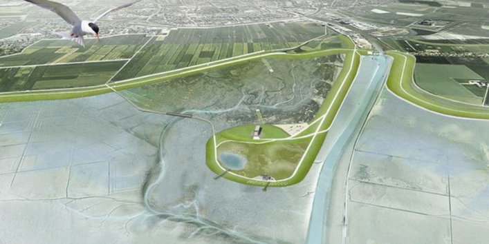 Luftbildaufnahme von der Husumer Hallig zeigt im Vordergrund eine fliegende Schwalbe mit schwarzem Kopf. Die Aufnahme mutet schematisch an. Man erkennt Landstraßen und Feldabschnitte. Die Hallig ragt vom Festland aus gesehen nasenförmig ins Meer