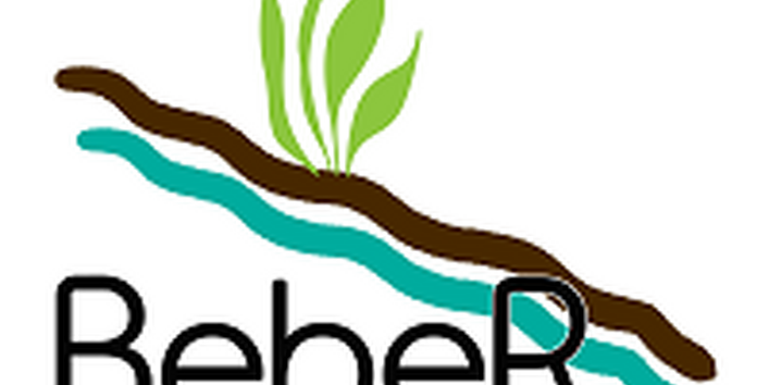 Logo des Verbundprojektes Bodenerosionsminderung in bergigen Regionen am Beispiel des Landkreises Mansfeld-Südharz (BebeR)