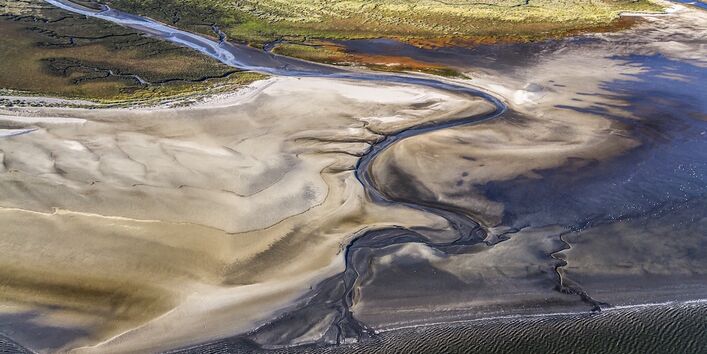 Watt und Salzwiesen vor St. Peter-Ording