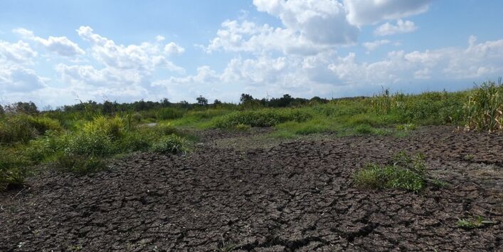 Trockenheit und Dürre im Landkreis Cuxhaven