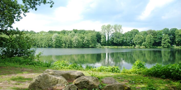 Der Blick geht über einen See, der in einem Park liegt. Am Seeufer wachsen Bäume. Im Vordergrund liegen große Steine.