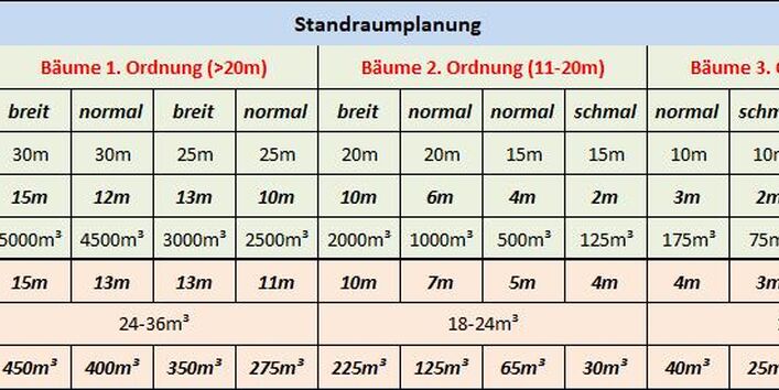 Tabelle der Standraumplanung mit Bemessungen für Bäume, u.a. Höhe, Wurzelradius, Kronenvolumen.