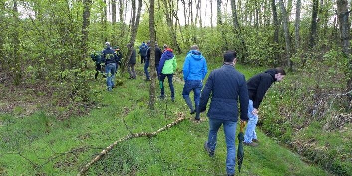 Exkursionsteilnehmende laufen durch ein mit Bäumen licht bewachsenes Wiesenland.