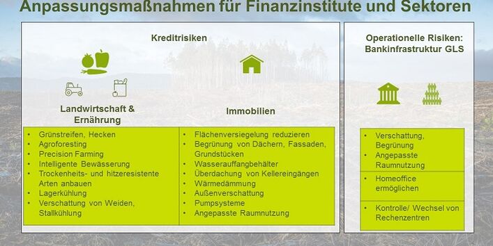 Graphische Darstellung in Grüntönen gehalten, der Text steht in Textboxen zum Thema: Anpassungsmaßnahmen für Finanzinstitute und Sektoren,