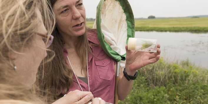 Eine Wissenschaftlerin klärt über die Artenvielfalt in der Auenlandschaft auf