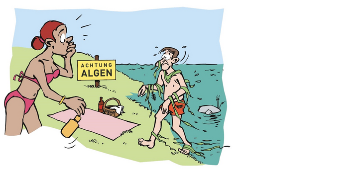 Im Comicstil ist ein Ufer gezeichnet. Auf der Wiese liegt eine Decke, daneben steht ein Picknick-Korb. Im Vordergrund steht eine  Frau im Bikini, der Sonnencreme aus der Hand fällt. Schockiert schaut sie einen Mann an, der aus dem Wasser kommt. Er ist am ganzen Körper mit Algen bedeckt. Auf der Wiese steht ein Schild mit der Aufschrift "Achtung Algen"