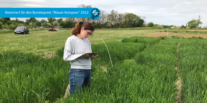 Bonitur des Striegelversuchs: Auswirkungen verschiedener Striegelintensitäten auf die Unkrautunterdrückung sowie auf den Segetalartenschutz.
