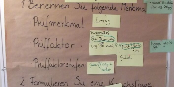 Arbeitsaufgaben einer Gruppenübung hängen handschriftlich geschrieben auf braunem Papier inklusive deren Antworten auf gelben und grünen Karten an einer Pinwand.