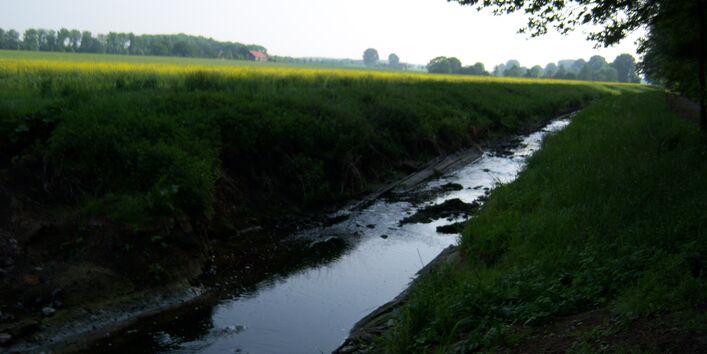 Entwicklungsplanung Werse - Vor Ausbaubeginn (09-06-2010)