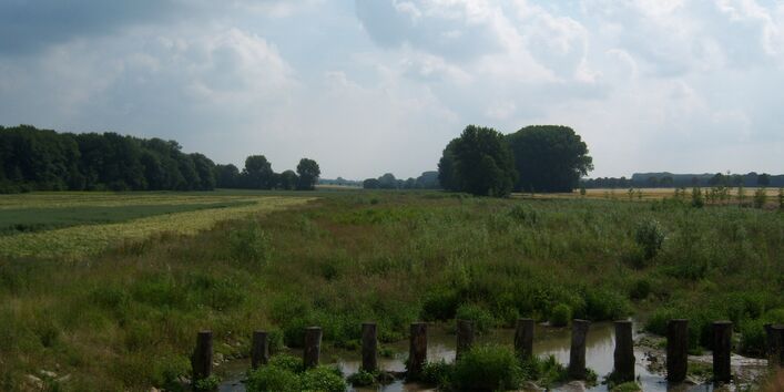 Entwicklungsplanung Werse - Nach Ausbau, Blick in die Aue, Standpunkt Hochwasserrückhaltebecken (02-07-2013)