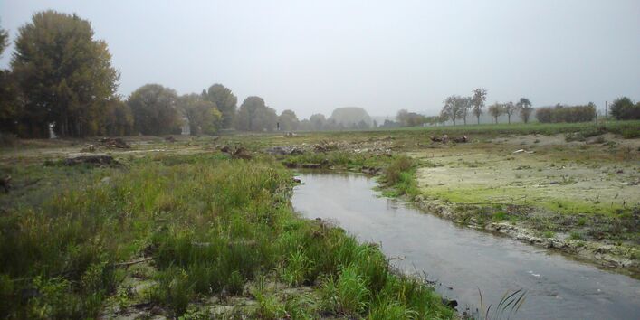 Entwicklungsplanung Werse - Nach Ausbau, Herstellung Sekundäraue (25-10-2012)