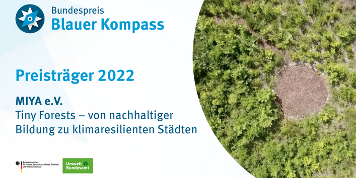 Das Bild zeigt eine Tiny-Forest-Fläche von oben. 