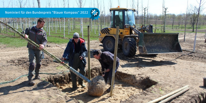 Die unterschiedlichen Baumarten werden in die vorbereiteten Pflanzgruben gepflanzt.