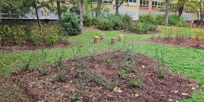 Zu sehen sind vier Inseln aus Sträuchern, die in einem Innenhof gepflanzt wurden.