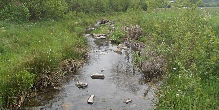 Silberbach bei Horn-Bad Meinberg