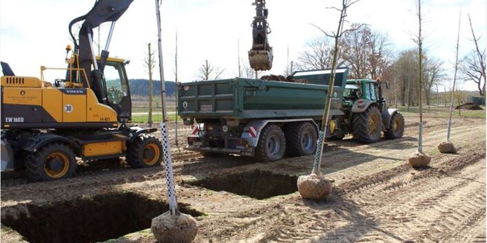 Anlage des Versuchsfeldes auf der Baumschule