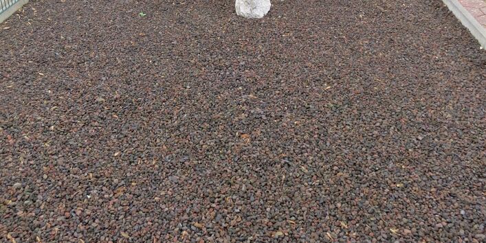 Das Bild zeigt einen vollständig mit Schotter versiegelten Vorgarten