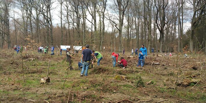 Kinder und Erwachsene helfen bei der Aufforstung mit Laubbäumen
